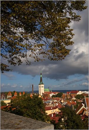 _MG_6086.jpg