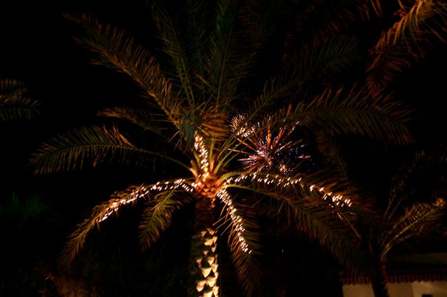 IMG_2890.jpg