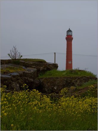 _MG_2889.jpg