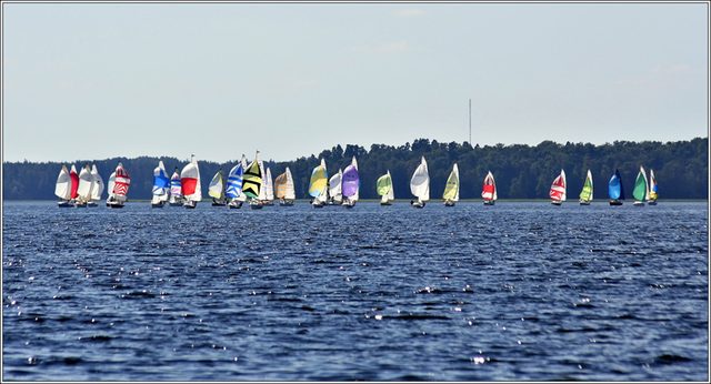 _MG_5682.JPG