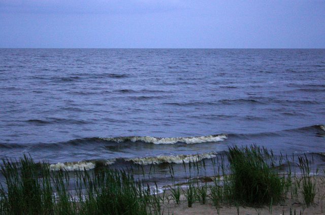 IMG_2284