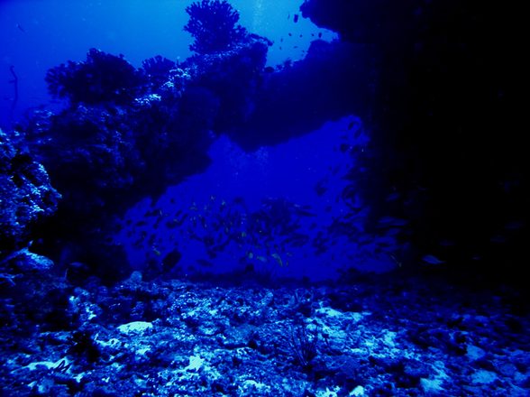 CRW_0707.jpg