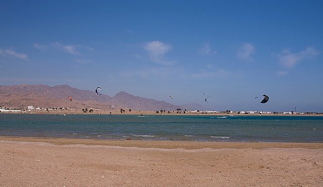 IMG_7274 copy.jpg