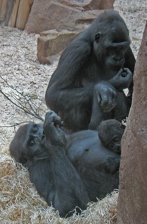 IMG_2132.jpg