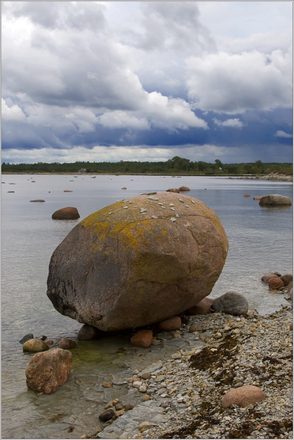 _MG_1902.jpg