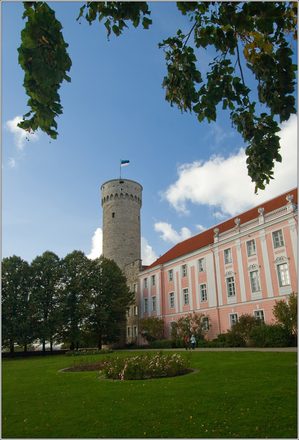 _MG_6109.jpg