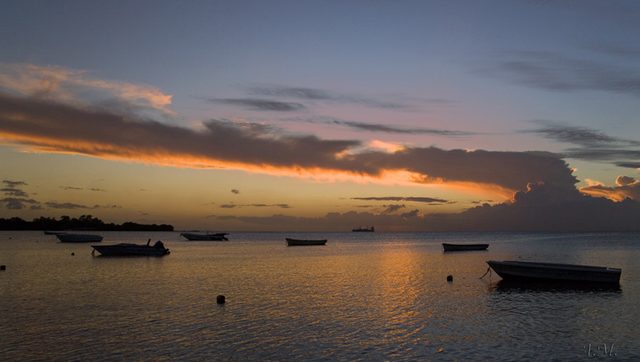 287 XH3N9739.jpg