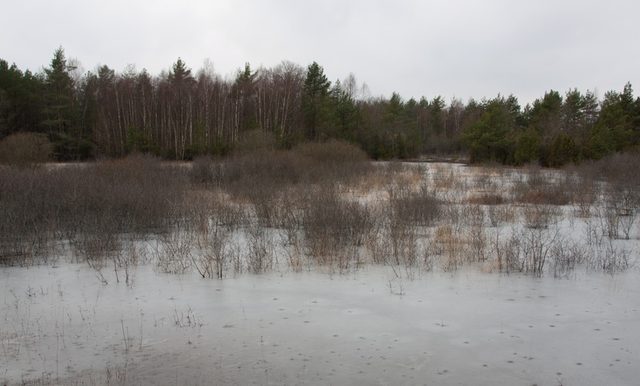 _MG_3207.jpg