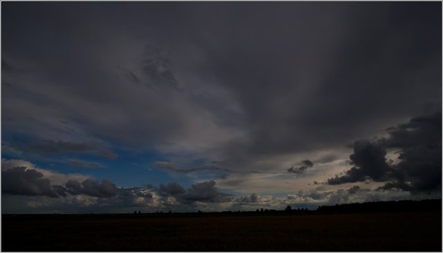 _MG_3658.jpg