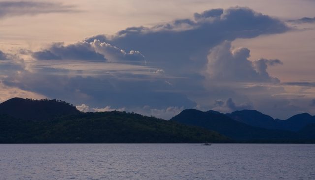 _MG_5317.jpg