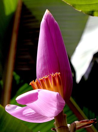 IMG_1983.jpg