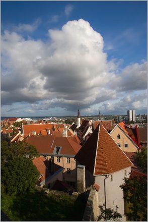 _MG_6091.jpg