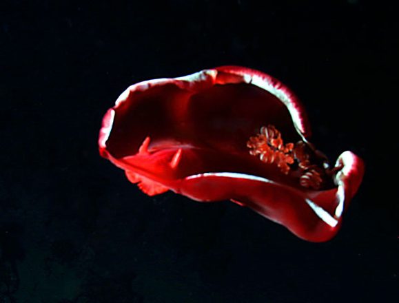 037