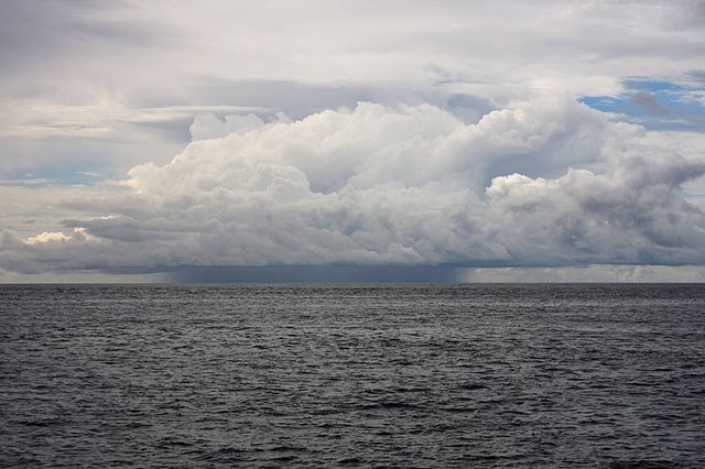 Phillipini 061.jpg