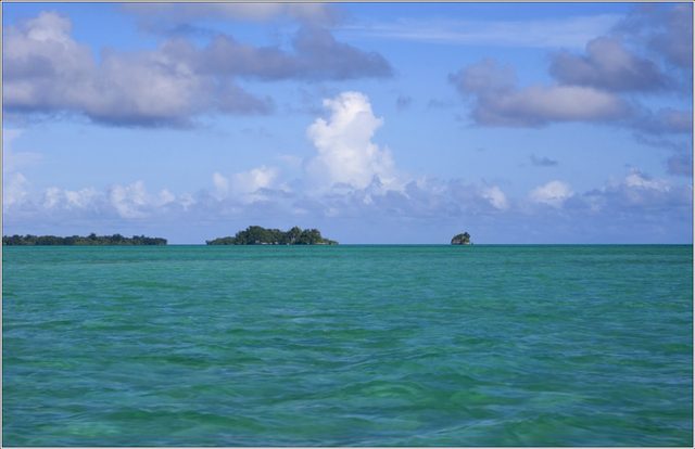 _MG_3742.jpg