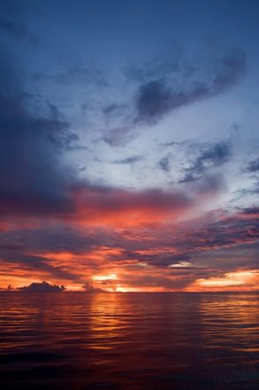 _MG_5043.JPG