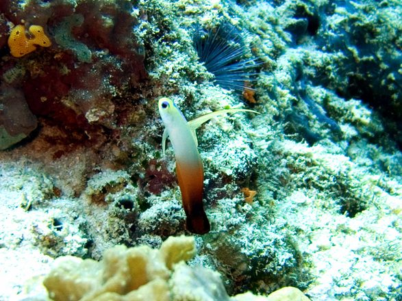 CRW_0103.jpg
