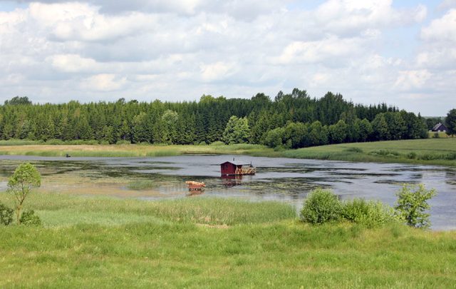 IMG_2811