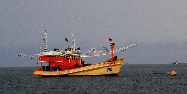 IMG_5155.jpg