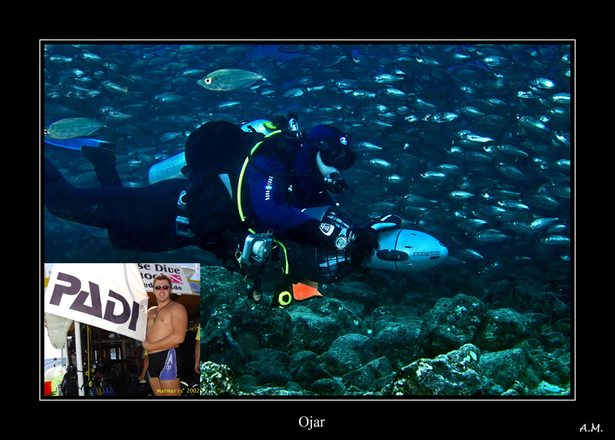 2005 Diving.jpg