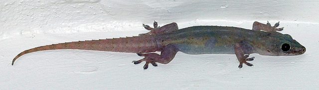 IMG_1892.jpg