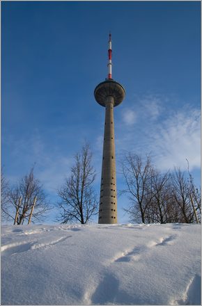 _MG_0426.jpg