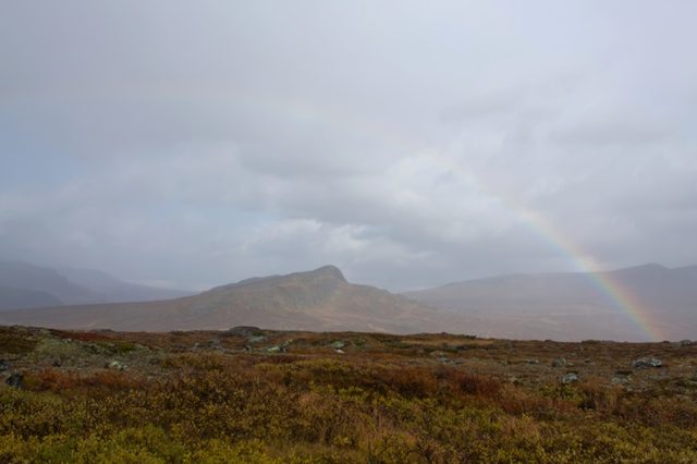 IMG_6446.JPG