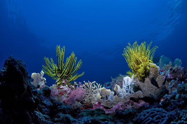 089 ZD6X0800.jpg