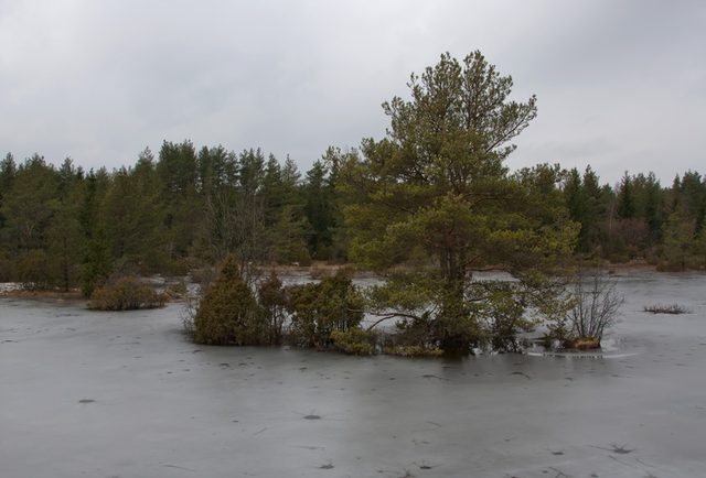 _MG_3209.jpg
