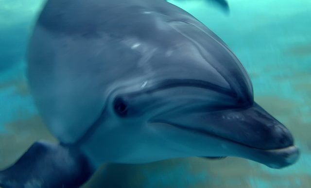IMG_9872.jpg
