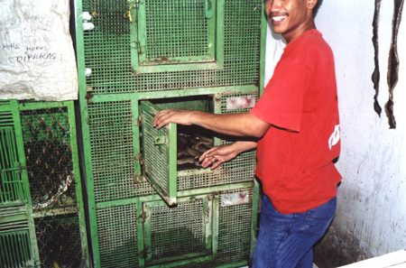 64 - Cage With Cobra
