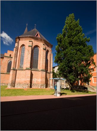 _MG_2645.jpg