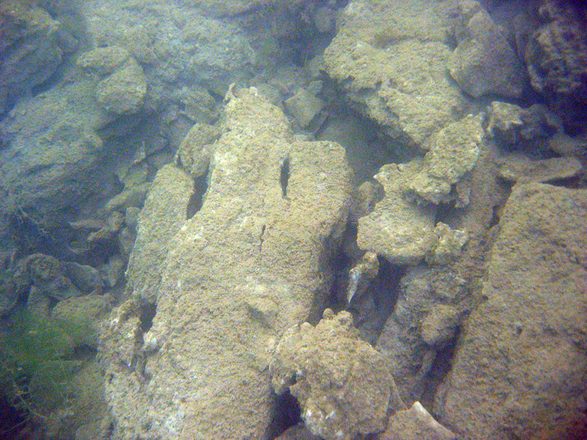 IMG_4130