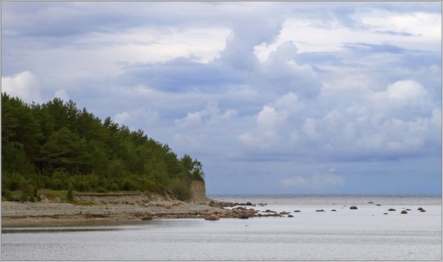 _MG_1900.jpg