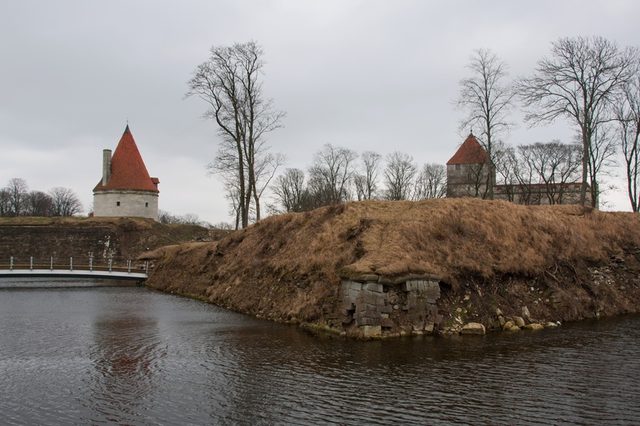 _MG_3101.jpg