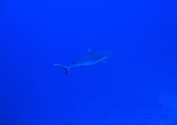 IMG_1182