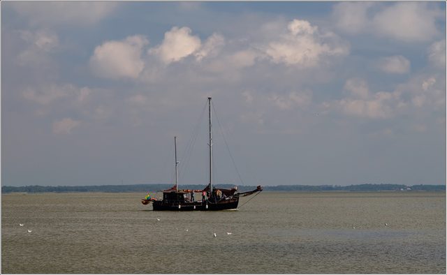 _MG_1733.jpg
