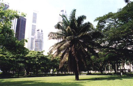 06 - Explanade Park