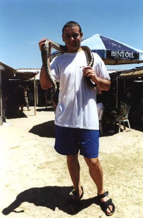 72 - Valera With Boa