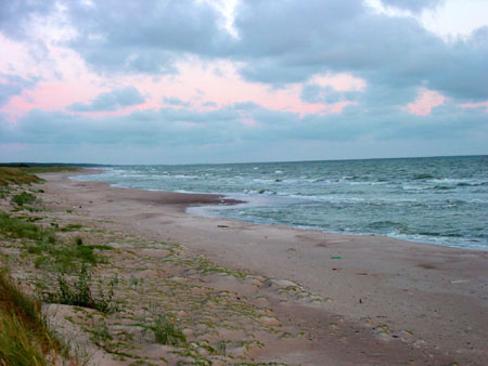 DSC02030