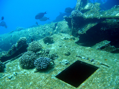 Wreck 6