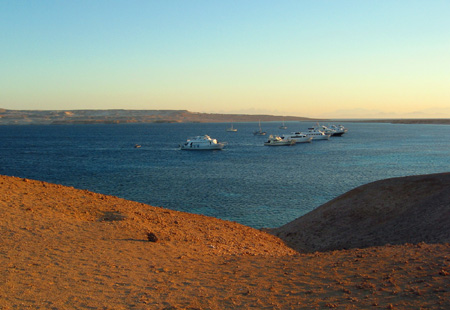Coral island 3
