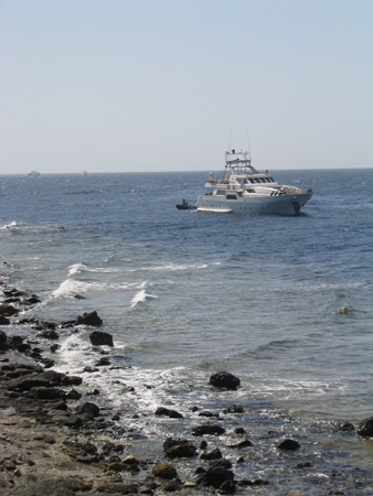 IMG_6653