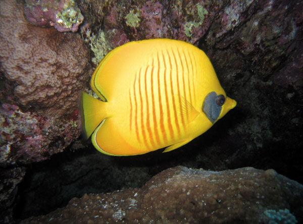 IMG_1522