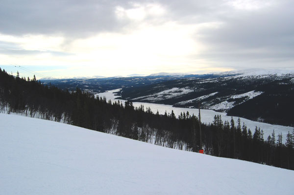 033