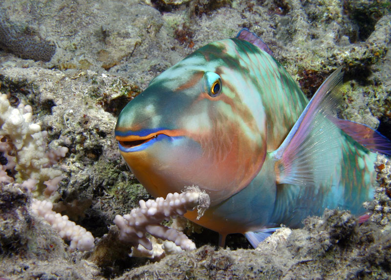 110 IMG_7883