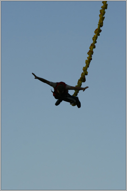 _MG_6686.JPG