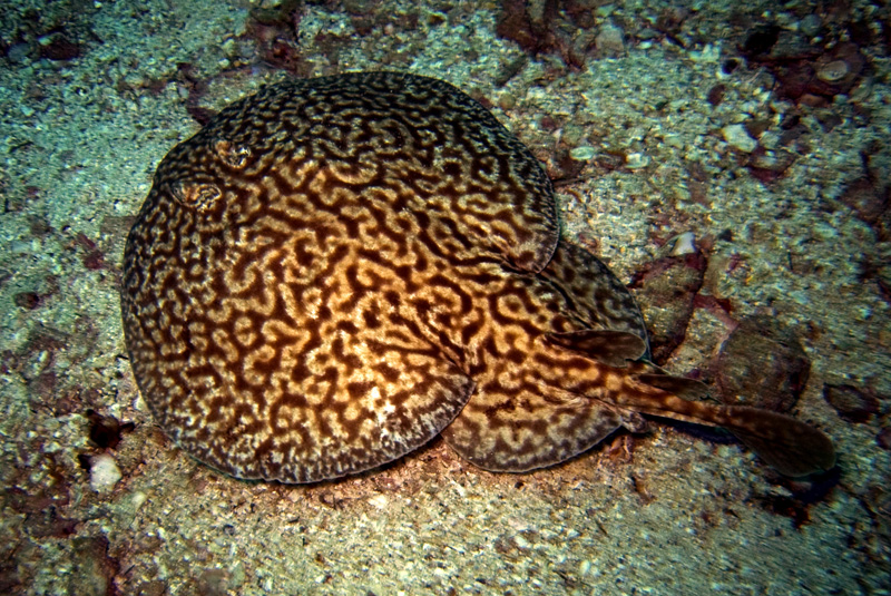 CRW_2124.jpg