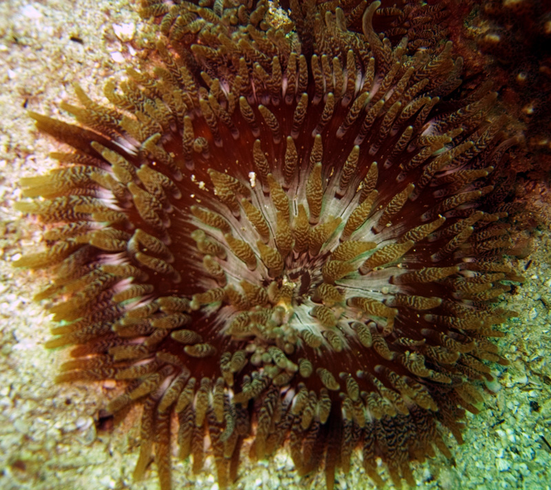CRW_2199.jpg