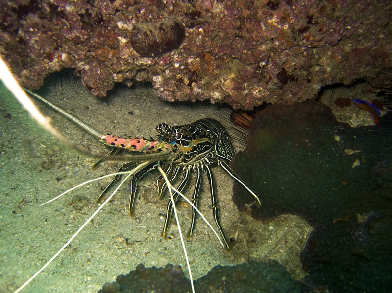 CRW_2208.jpg
